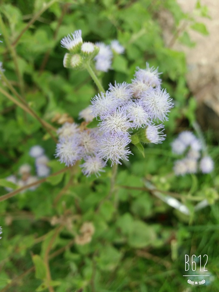 nature photography