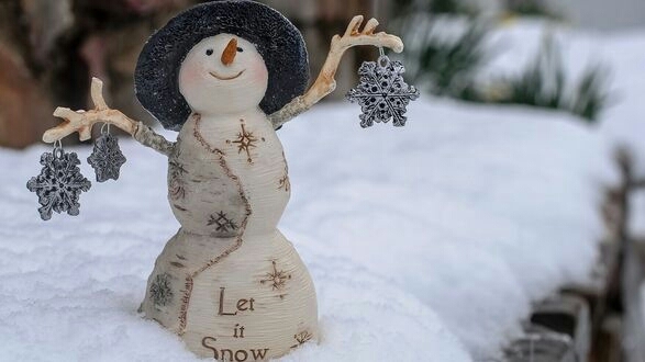Snowman with the snowflakes