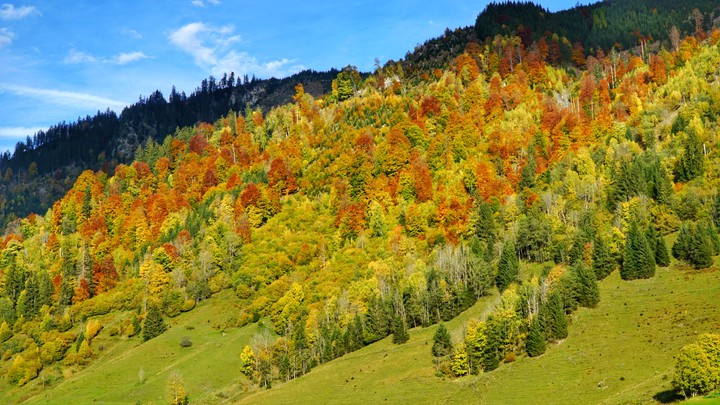 autumn colors in Austria