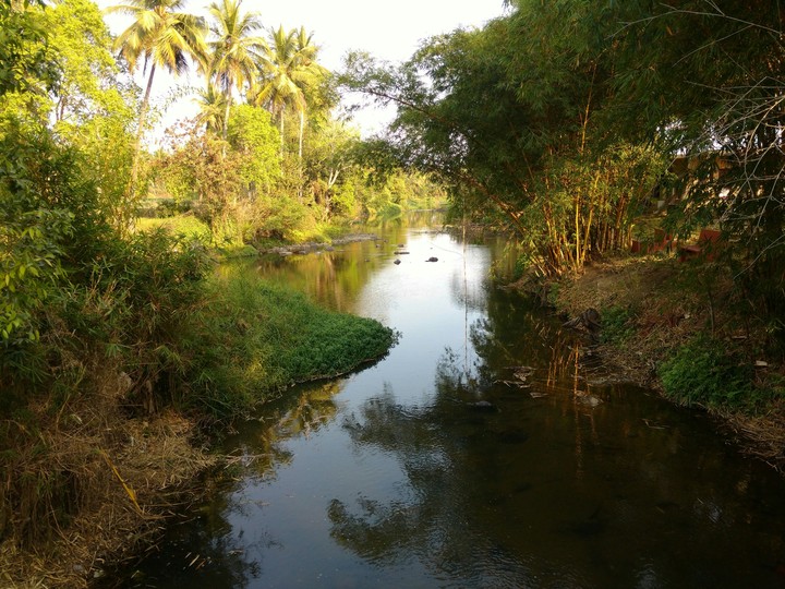 stream