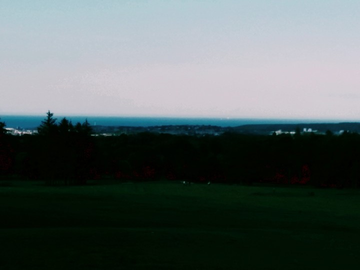 forest