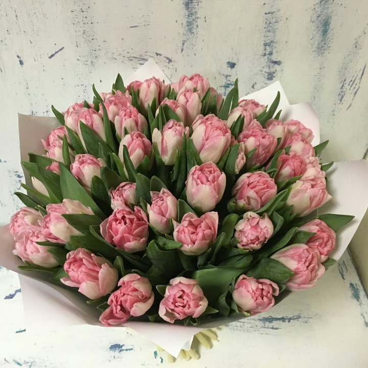тюльпаны