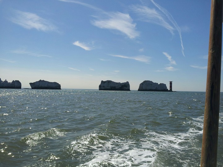 the needles