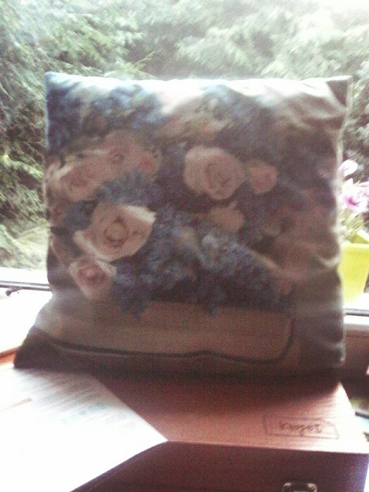 cushion