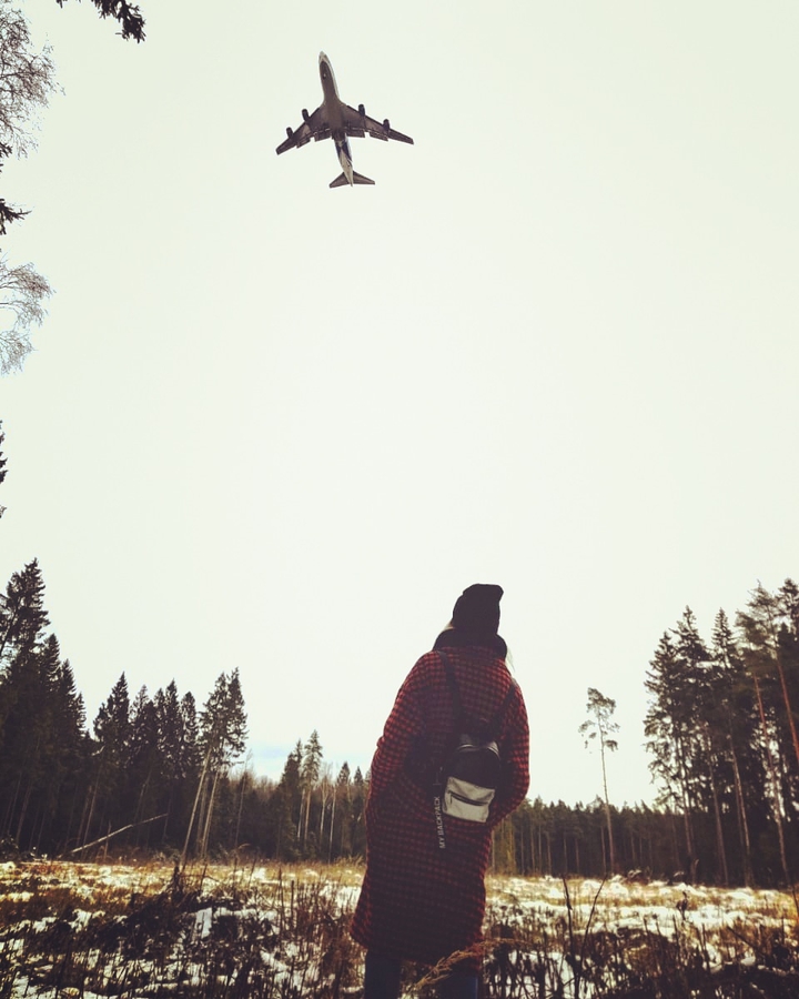 fly