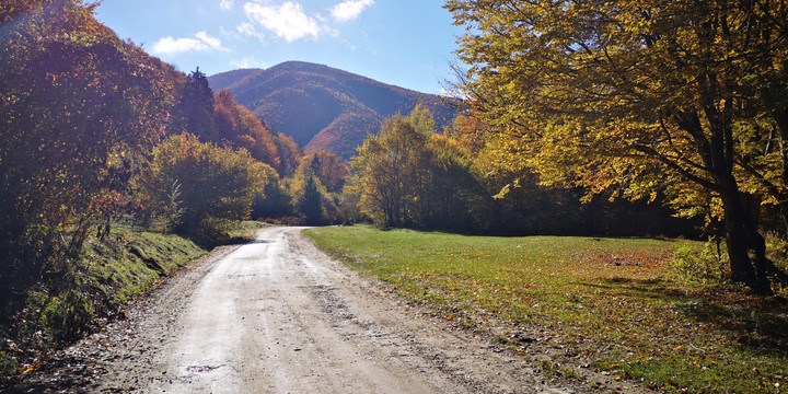autumn #'