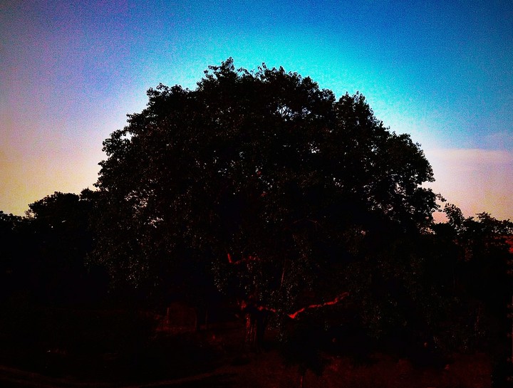 evening