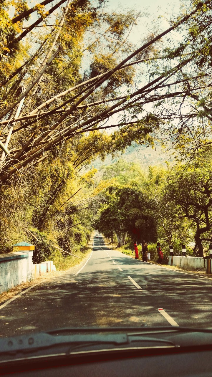 ooty