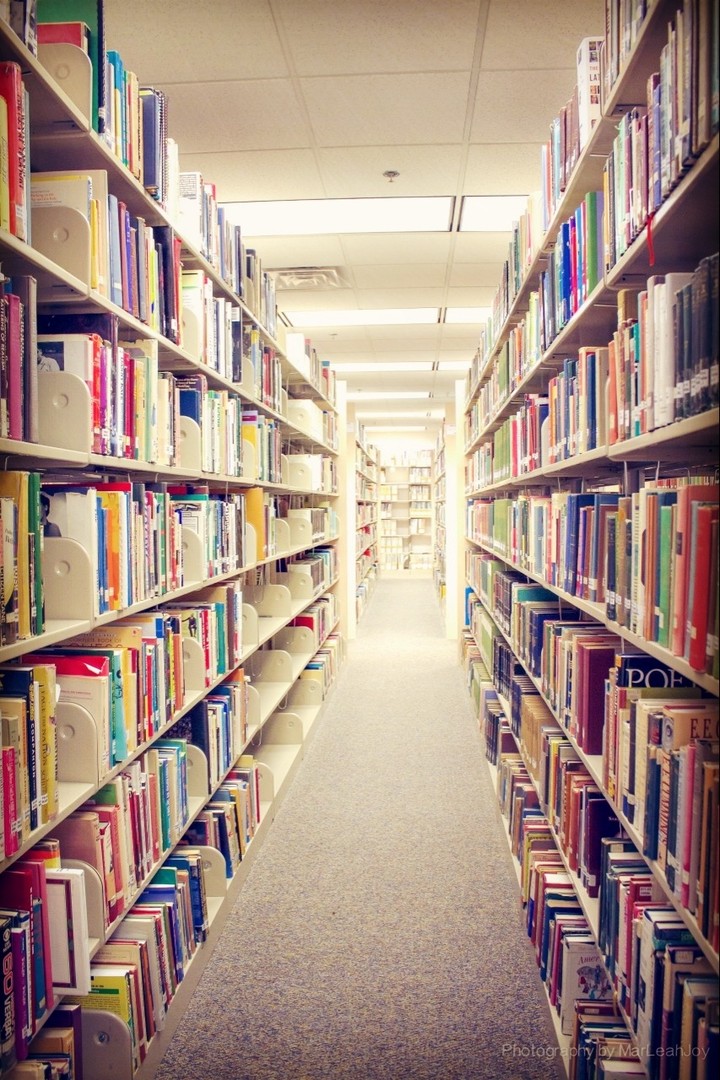 Bookworms' Paradise