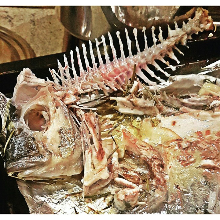 Dead Good Fish