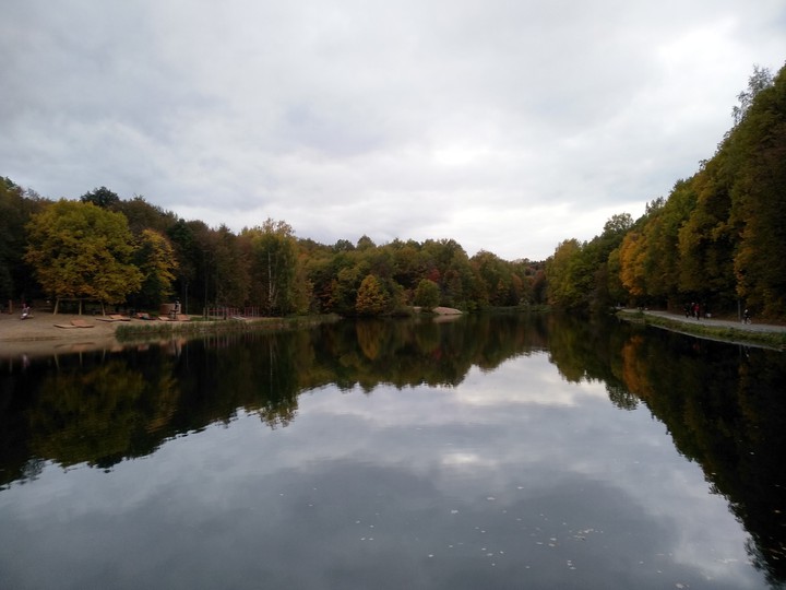 Autumn. Colors of autumn. Walk.