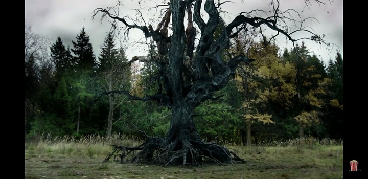 forest