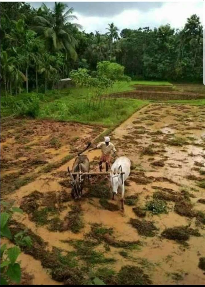 Old is gold