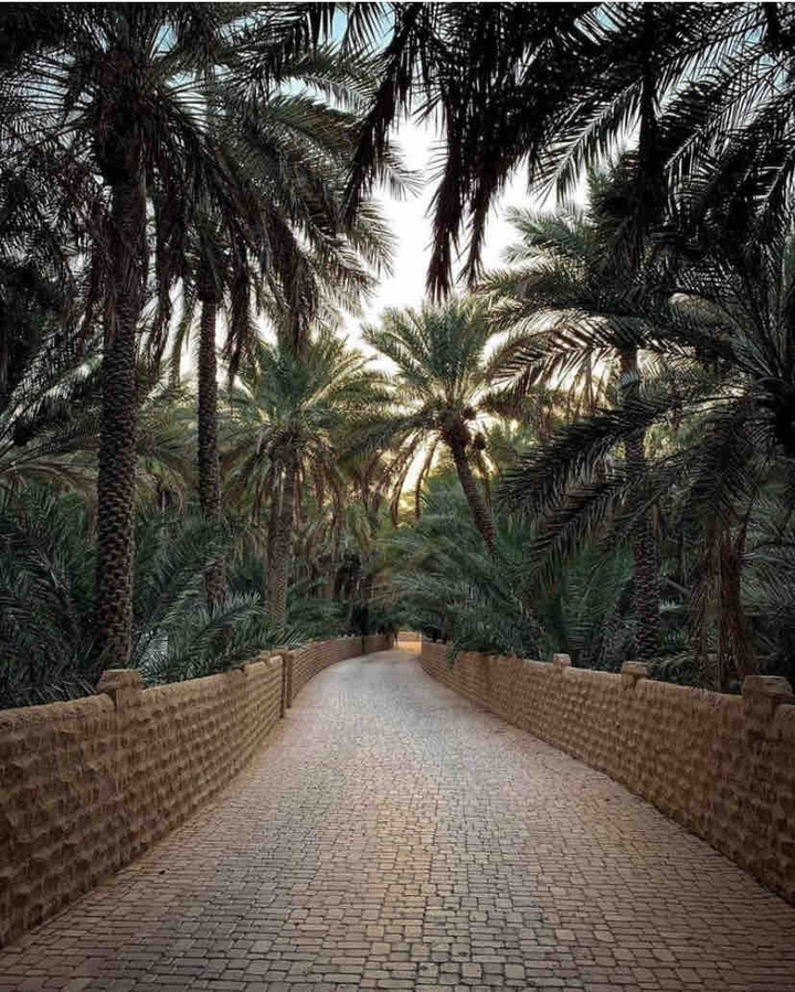 Walking✨