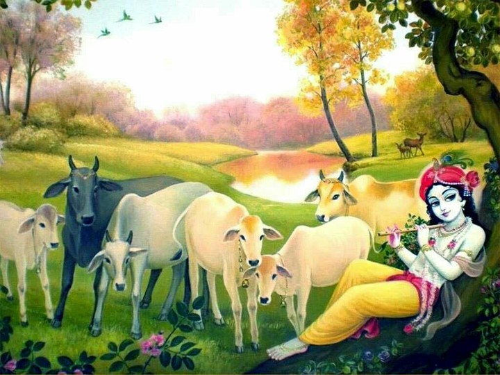 lord krishna