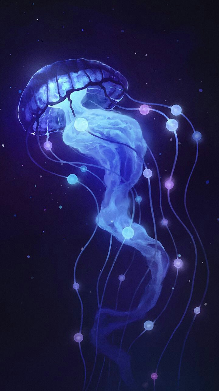 jellyfish