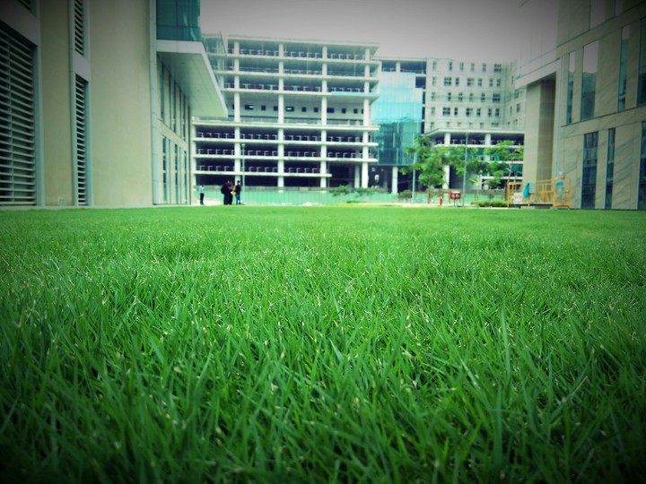 green land