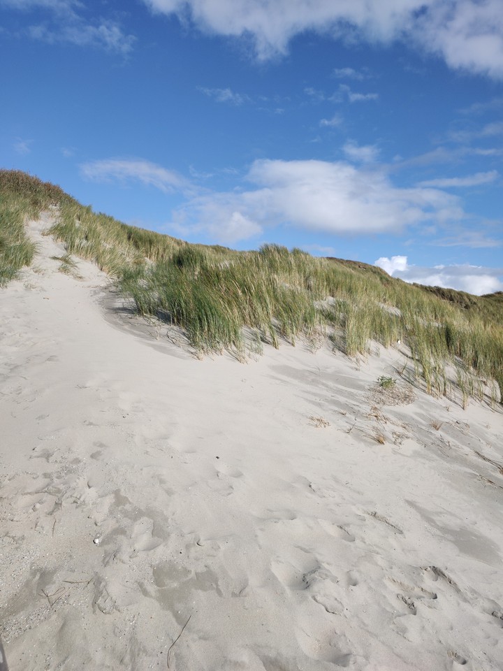 strand