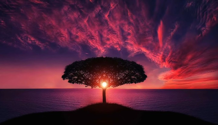 sun rise
