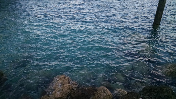 Water