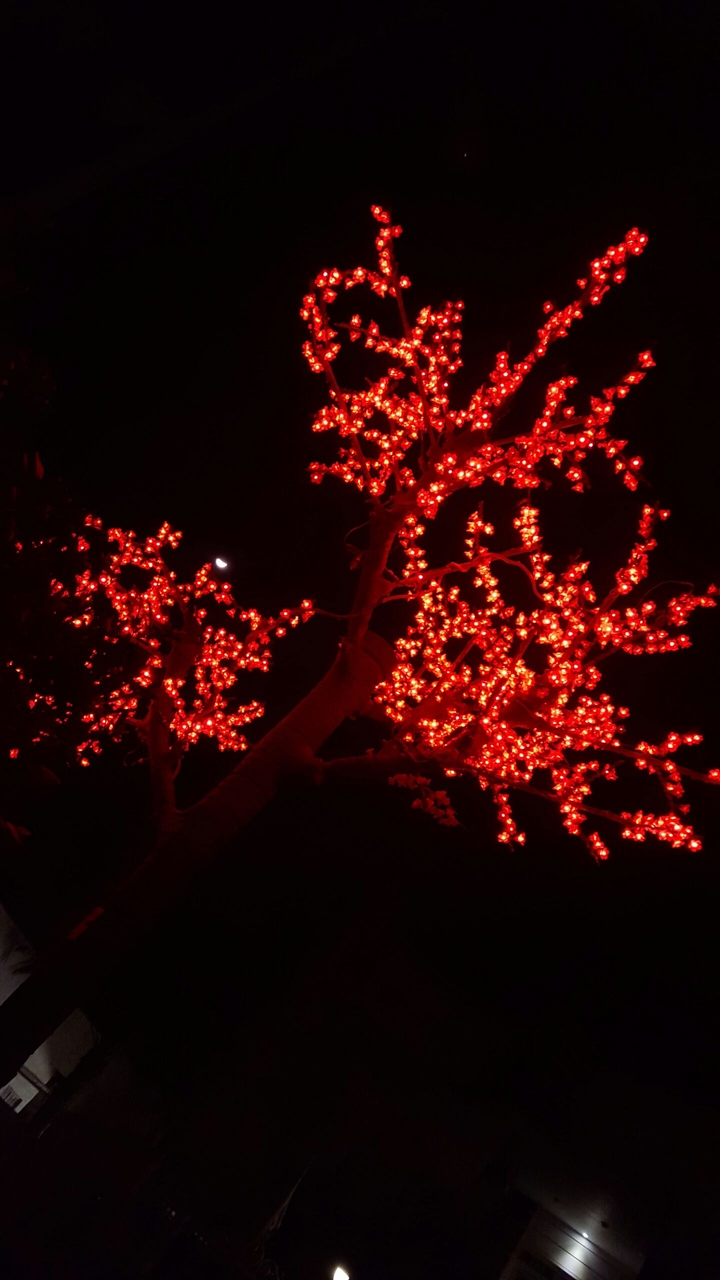 tree light