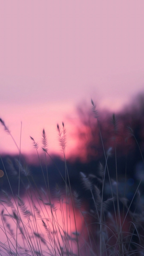 Effect, blur wallpapers