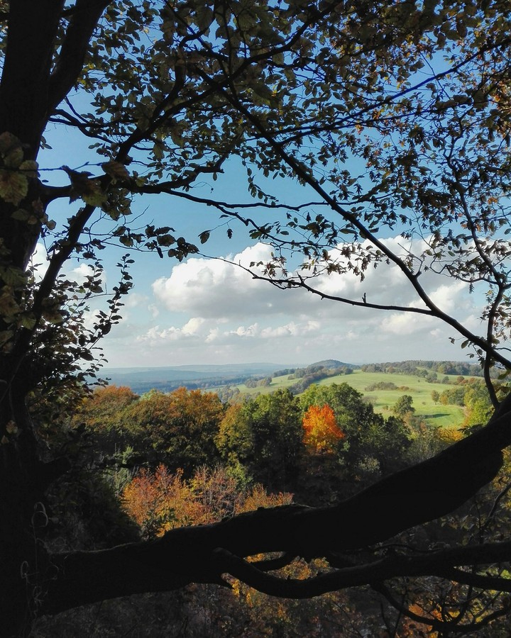 Ausblick
