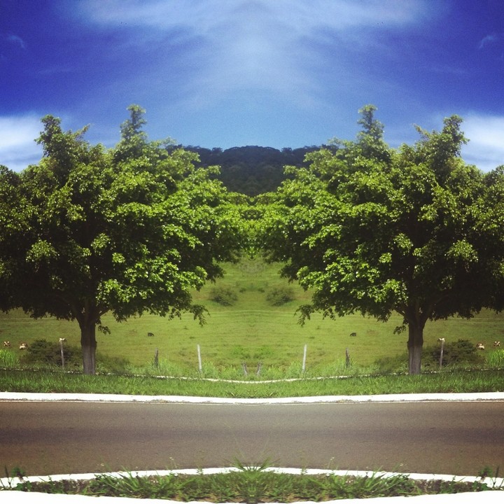 Natureza
