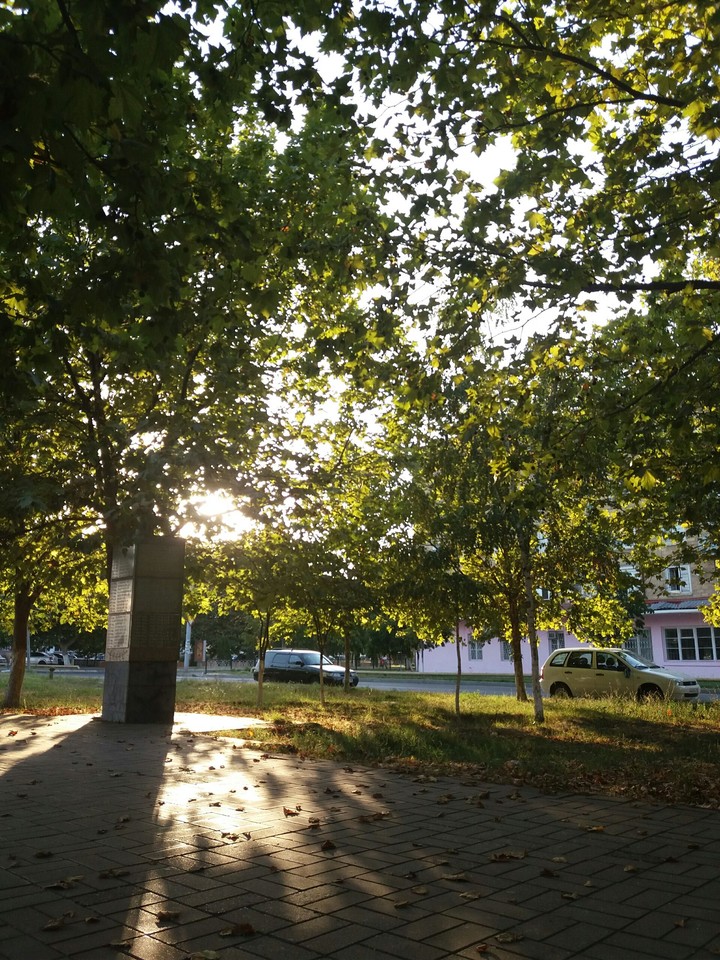 in the park 17:50 p.m