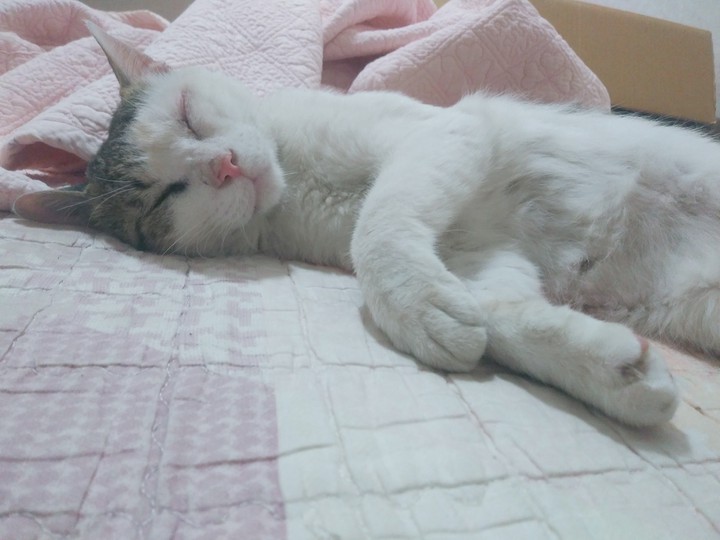 ㅎ