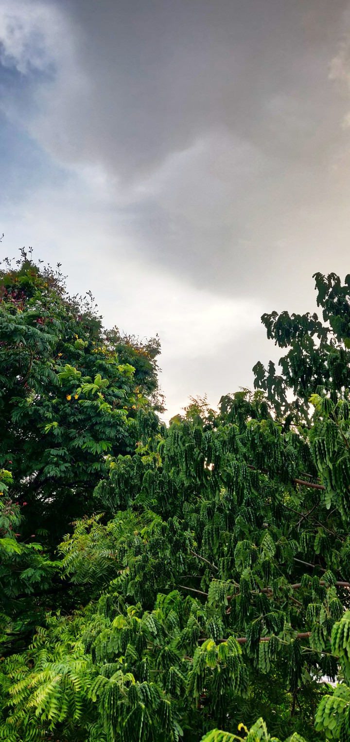 shot on OnePlus 6
