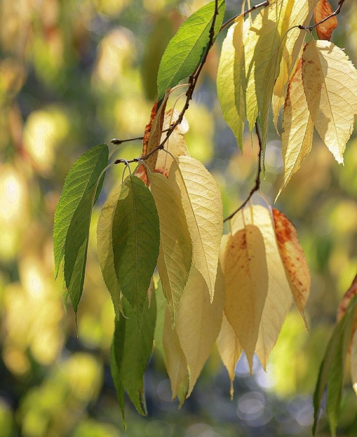 #autumn