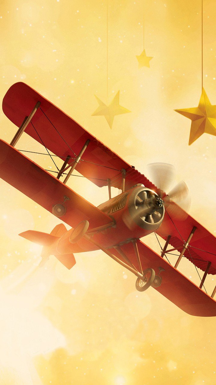 Fly