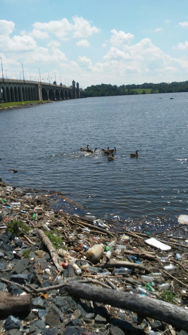 wading in the water