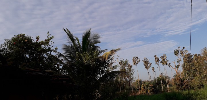 morning