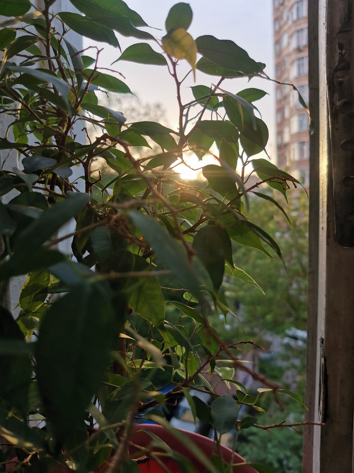 закат