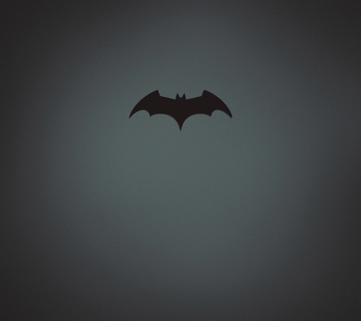bat