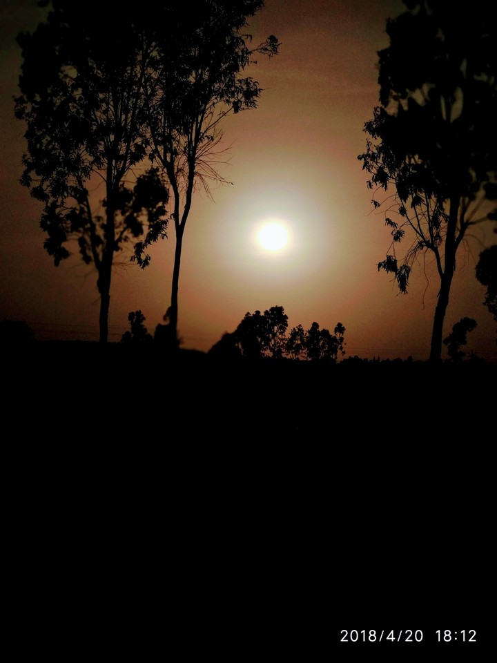 nature