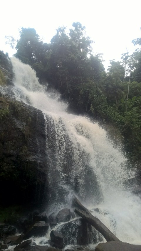 cachoeira