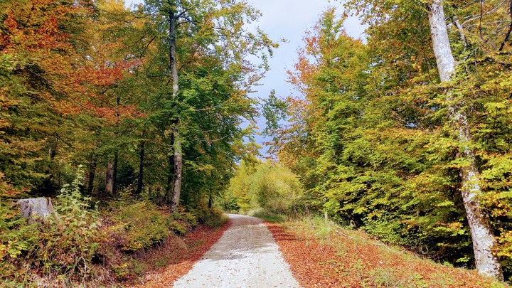 Herbst