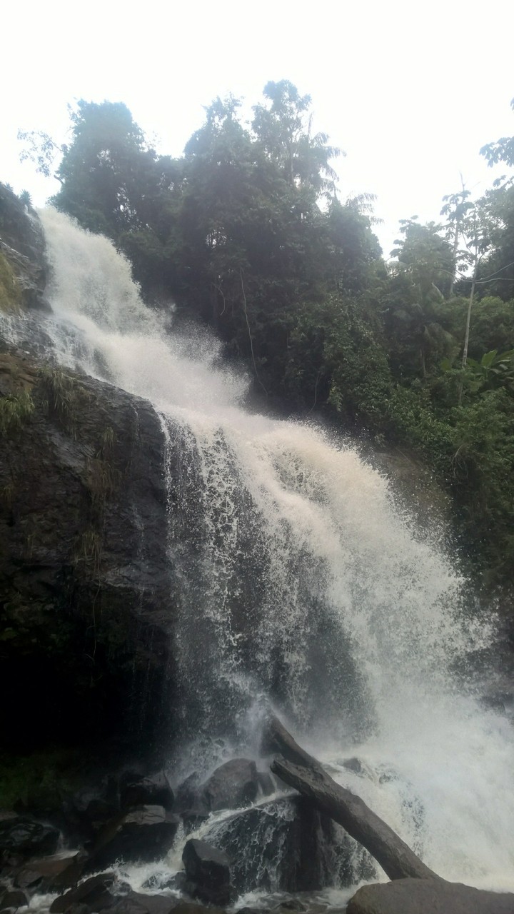 cachoeira