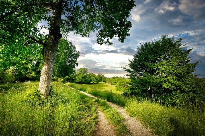 nature's way