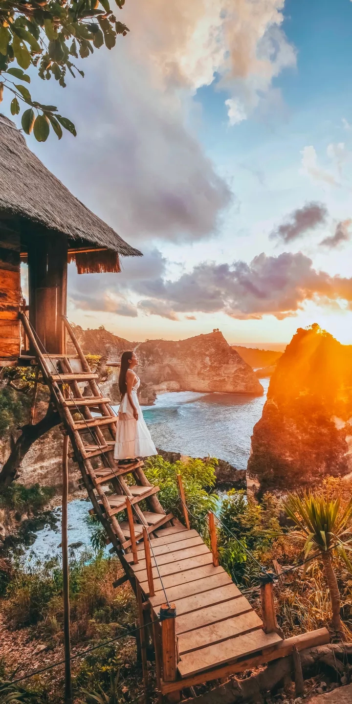 Amazing Wonderland