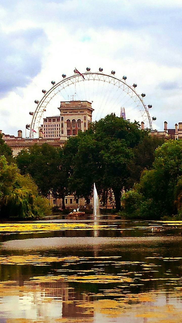 London Eye Park View