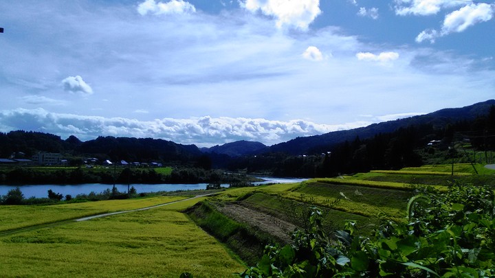 from Yanaidu