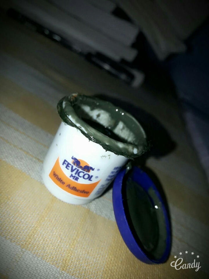 Fevicol