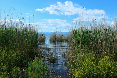 lake