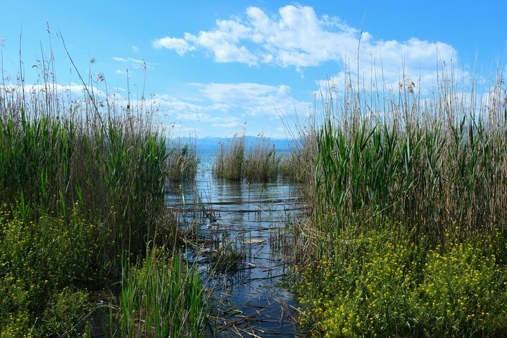 lake