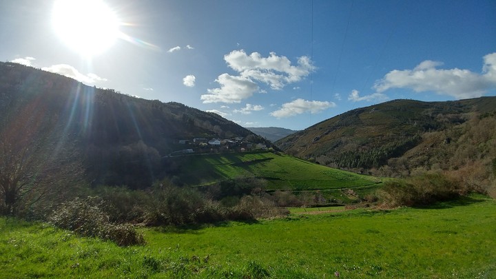monte