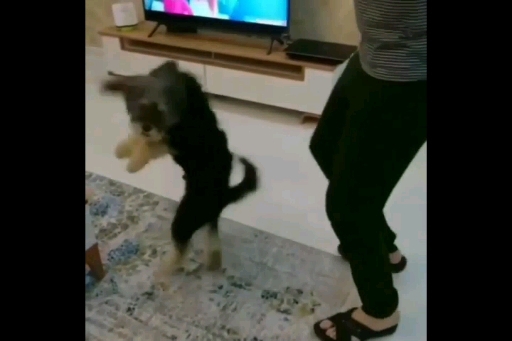 ☺☺☺